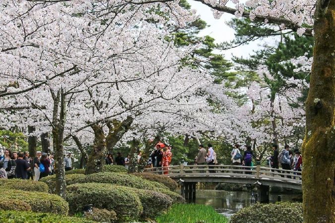 Kanazawa Flower Garden, Japan