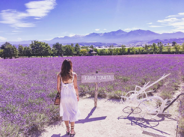 Lavender Farm (Hokkaido)