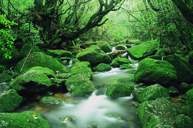 Shira Gorge (Kagoshima)