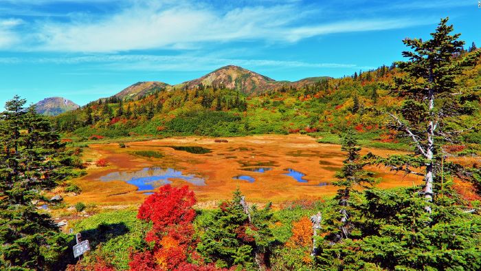 Lake Koya (Niigata)