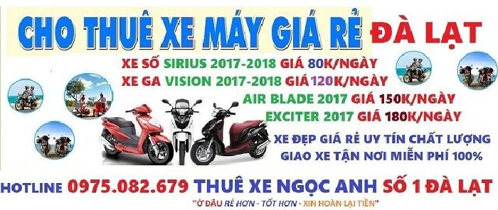 Ngoc Anh Car Rental service