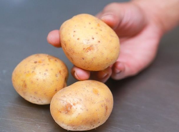 Potato