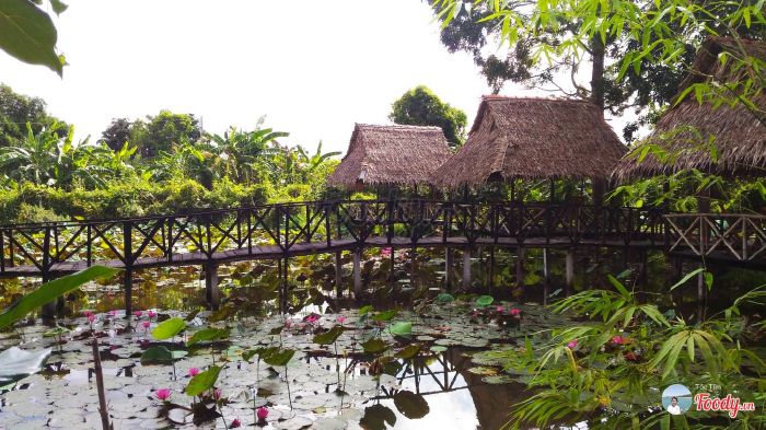 Thao Nguyen garden and garden resort