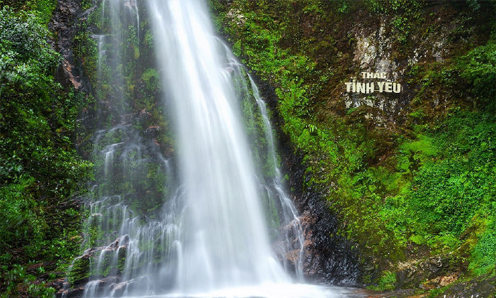 Golden Stream - Waterfall of Love