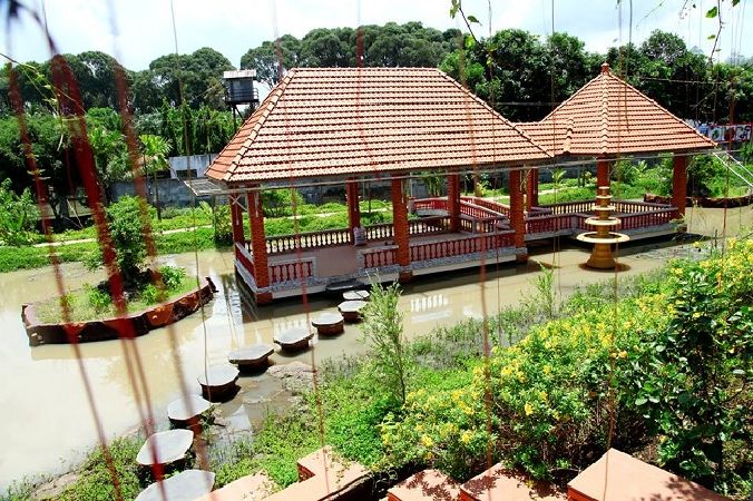Pine Hill Tourist Zone