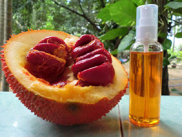 Gac oil has acne treatment effect