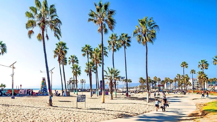 Venice Beach Boardwalk