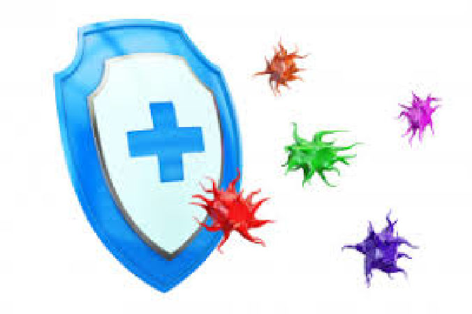 Strengthen immunity
