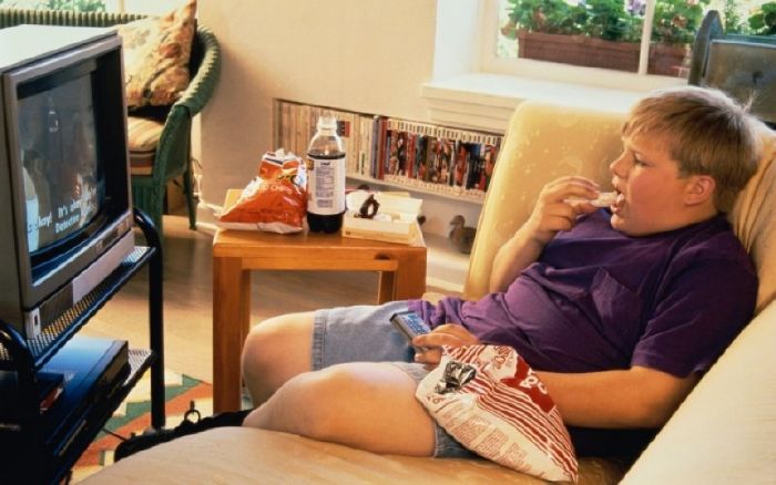The American population every 3 people has 1 obese
