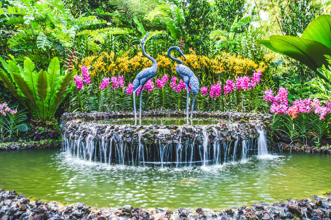 Singapore Botanical Gardens