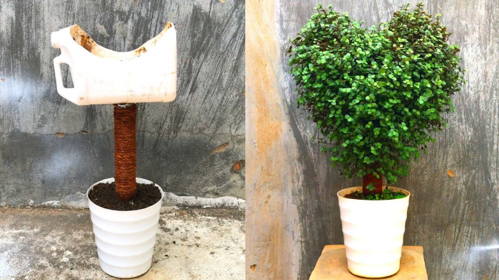 Garden & Home