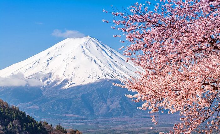 Mt. Fuji, Japan