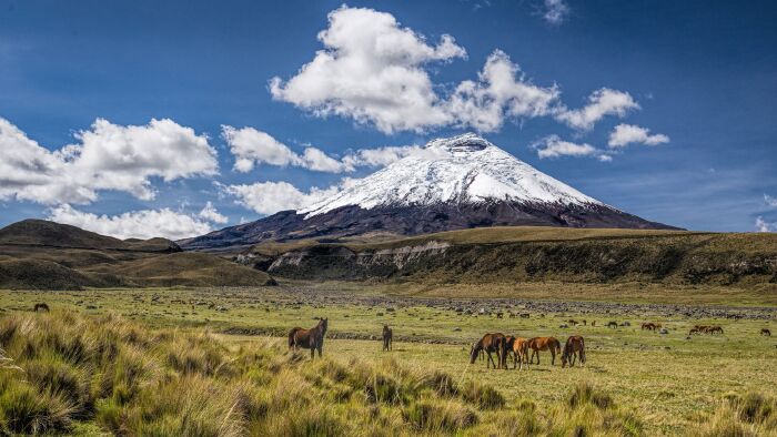Cotopaxi Volcano, Ecuador