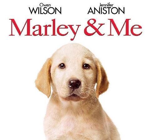Best Dog Movie: Marley & Me (2008)