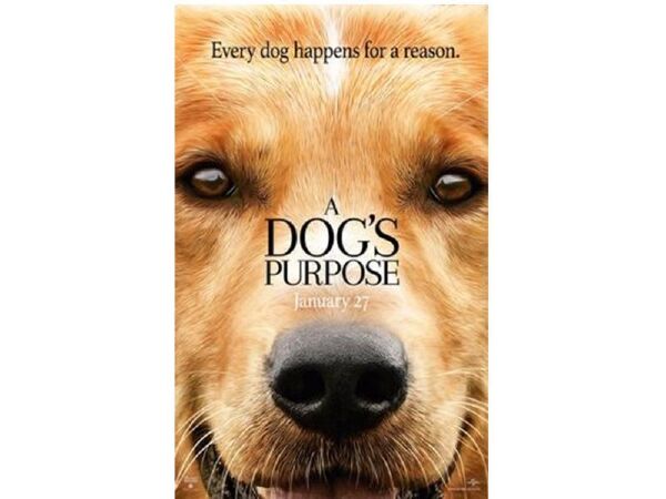 The most interesting dog movie: A Dog's Purpose (2017)