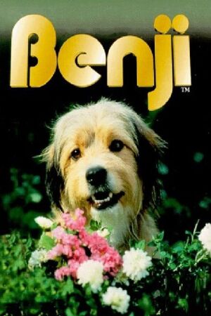 Funniest Dog Movie: Benji (1974)