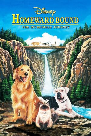 Best Dog Movie: Homeward Bound The Incredible Journey (1993)