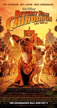 Funniest Dog Movie: Beverly Hills Chihuahua (2008)