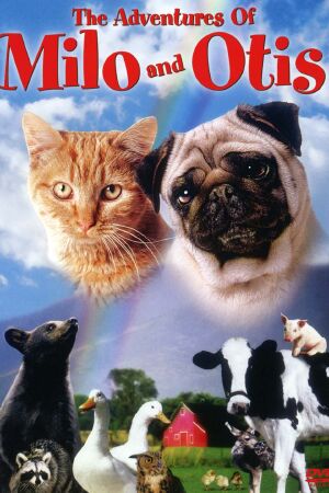 Funniest Dog Movie: The Adventures of Milo and Otis (1986)