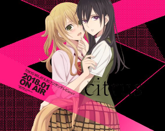 Citrus (Saburouta)