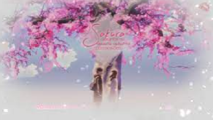 Sakura soundtrack 5 cm/s