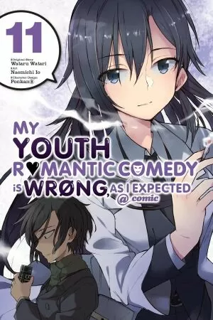 My Youth Romantic Comedy Is Wrong, As I Expected