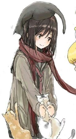 Mikasa Ackerman (Shingeki no Kyojin)