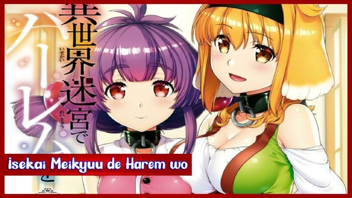 Isekai Meikyuu de Harem wo