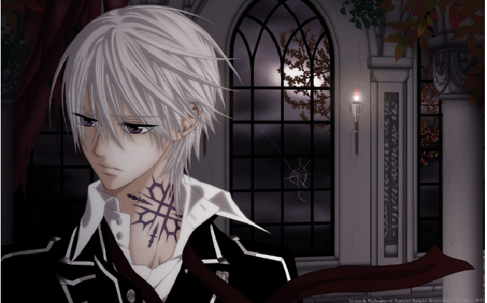 Zero Kiryu: Vampire Knight