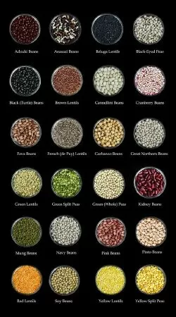 Legumes