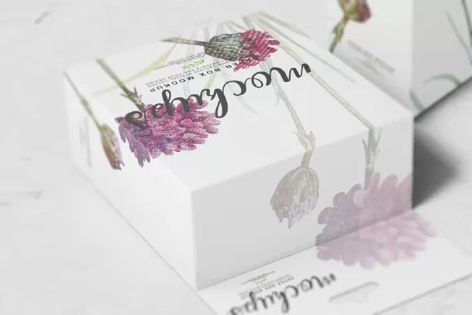 Paper Box Mockup 12