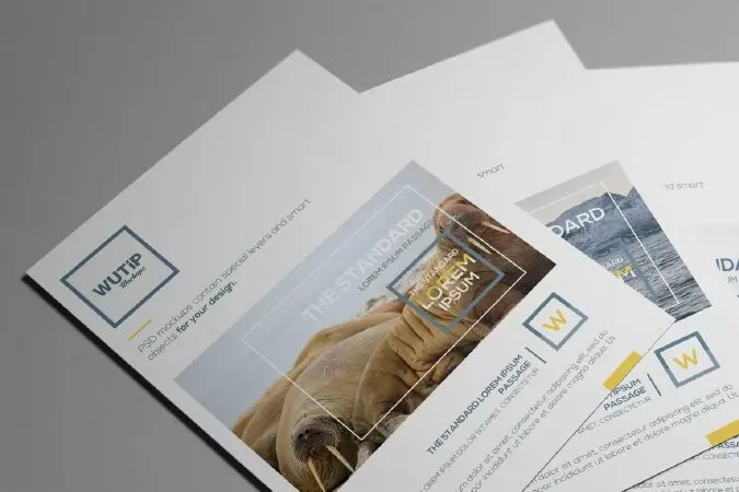 Bi-Fold A4 Brochure Mockups