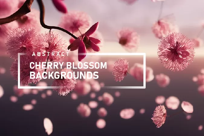Cherry Blossom Backgrounds