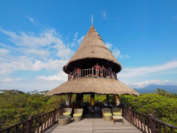 The Menjangan