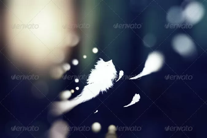 Background With Falling Feathers