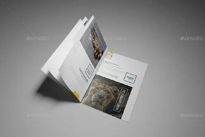 A4/A5 Brochure-Booklet Mockups
