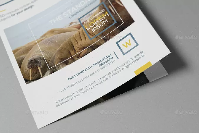 Bi-Fold A4 Brochure Mockups