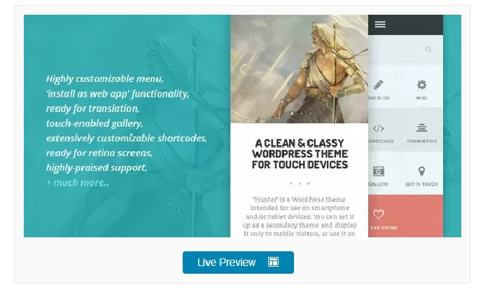 HUNTER - A clean & classy WordPress theme