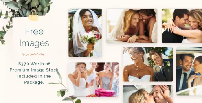 Alis - Wedding Planner WordPress Theme