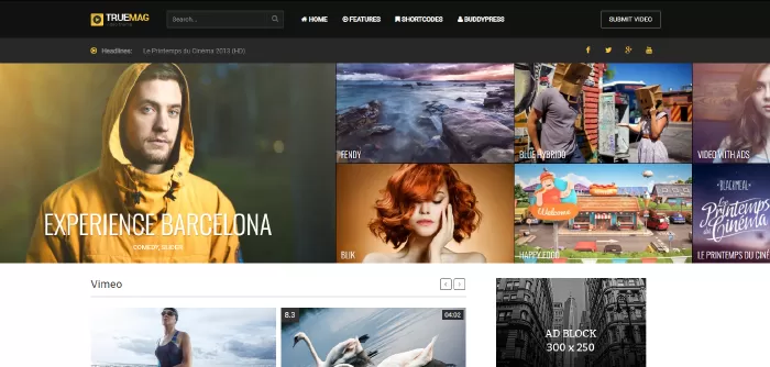 True Mag - WordPress Theme for Video and Magazine