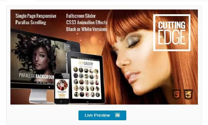 Cutting Edge Responsive Parallax WordPress Theme