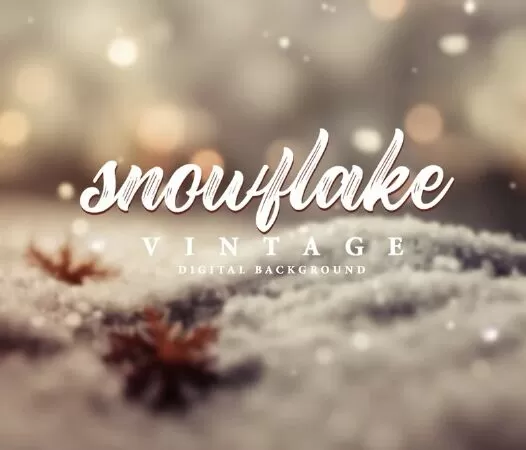 Vintage Snowflake Abstract Blurred Digital Background, Christmas Background, Winter Images