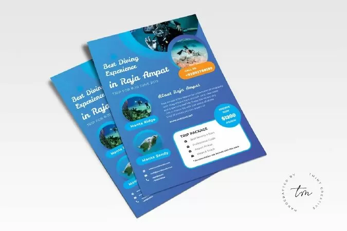 Travel Flyer 2