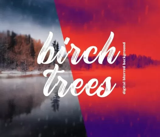 Winter Birch Forest Digital Background, Christmas Background