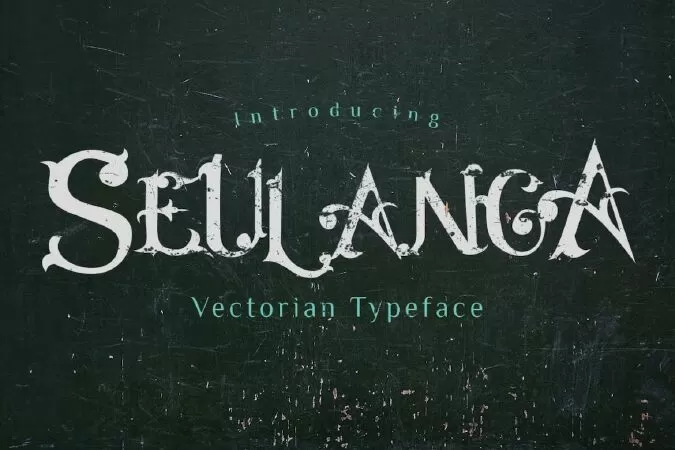 Seulanga Decorative Font