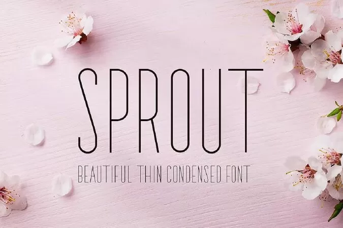 Sprout - Sans Serif