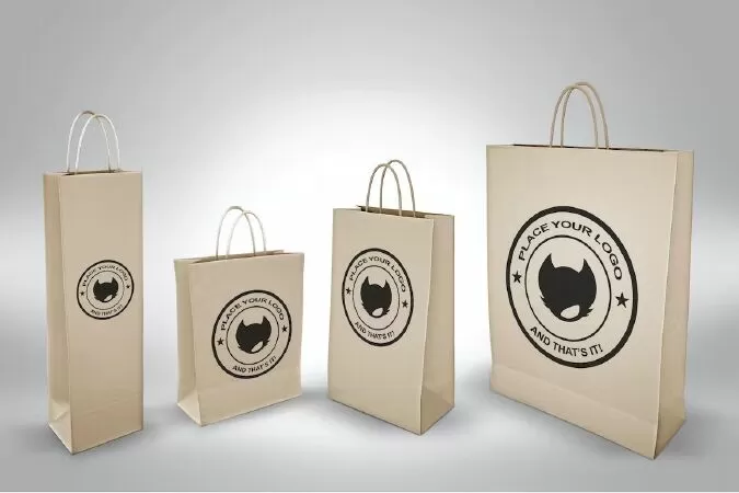 Paper Bag Mock Up