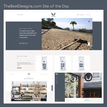 The Best Designs