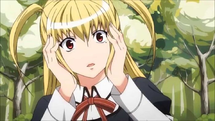 Maria † Holic