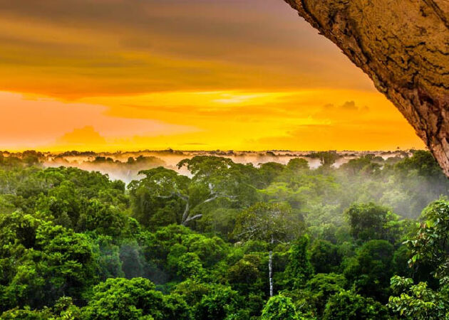 Amazon Forest, South America